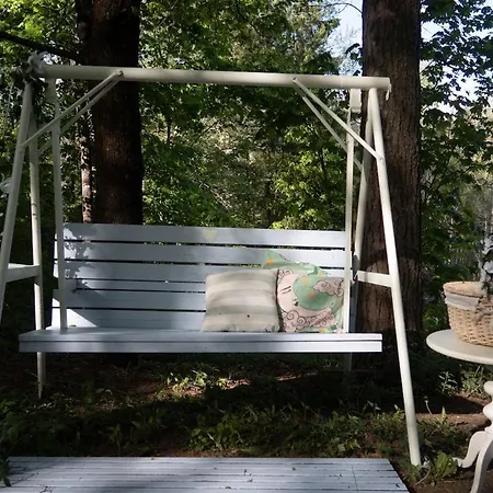 Peaceful Forest With Sauna